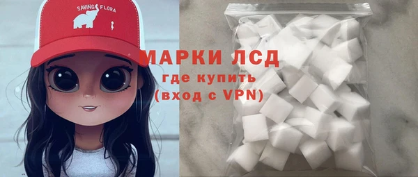 СК Алексин