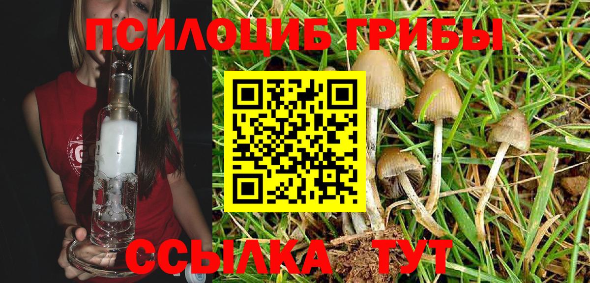 Рязань  Псилоцибиновые грибы Magic Shrooms  Вход с VPN 