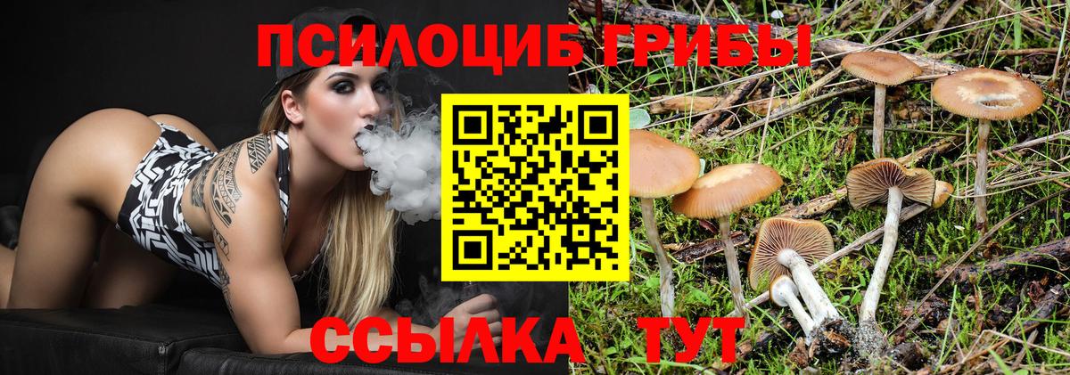 Псилоцибиновые грибы Magic Shrooms Рязань